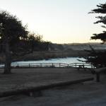 Cambria_0577 (November 02, 2013)